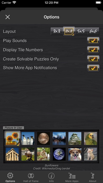 Picture Tile Slider Pro Screenshot