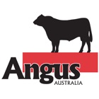 Top 10 Business Apps Like Angus - Best Alternatives