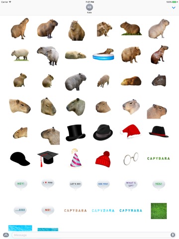 Capybara Stickers for Messagesのおすすめ画像1