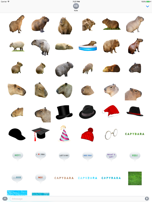 Screenshot #4 pour Capybara Stickers for Messages