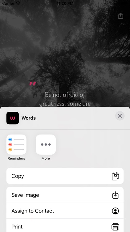 Words ° screenshot-3