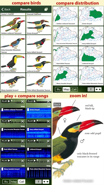 All Birds Colombia field guide screenshot-4