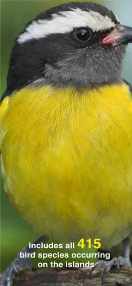 Game screenshot All Birds PR -> Antigua hack