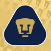 PumasMX contact information