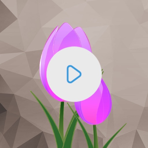 Video Color Editor icon