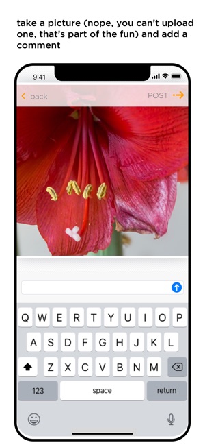 OuiSi(圖2)-速報App