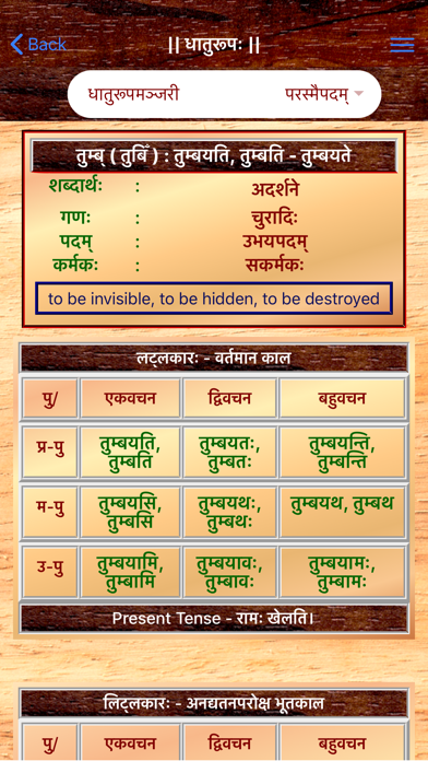Sanskrit Dhatu 360° screenshot 3