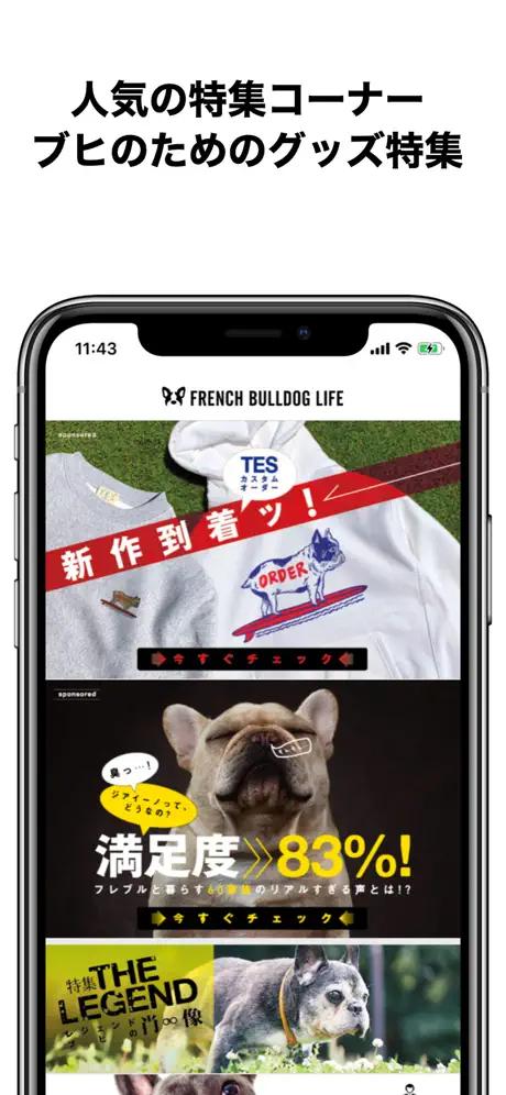 French Bulldog Life