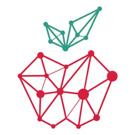 Digital Almaty Читы