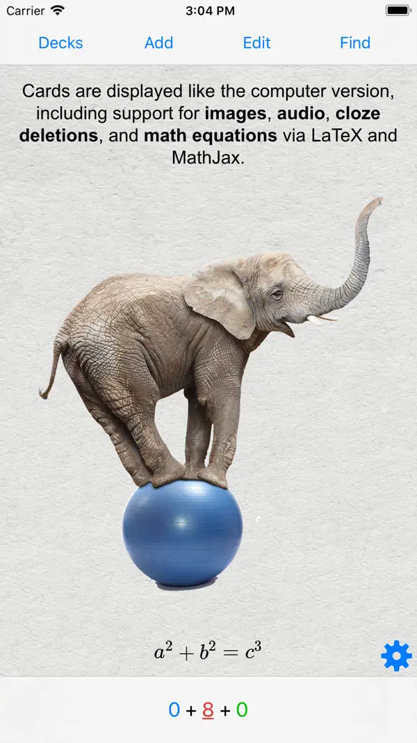 AnkiMobile Flashcards Screenshot 1