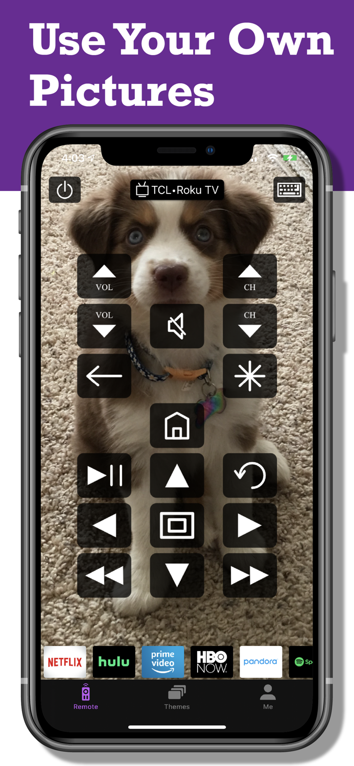FancyRemote for Roku TV