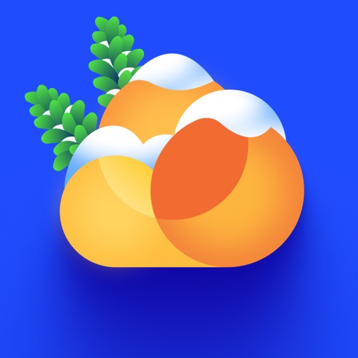 Cloud: Photo Storage & Backup