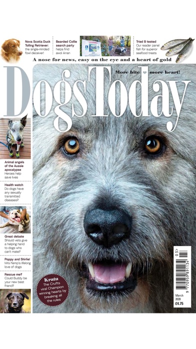 Dogs Today Magazineのおすすめ画像6