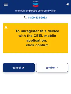 CEEL iPad image 4