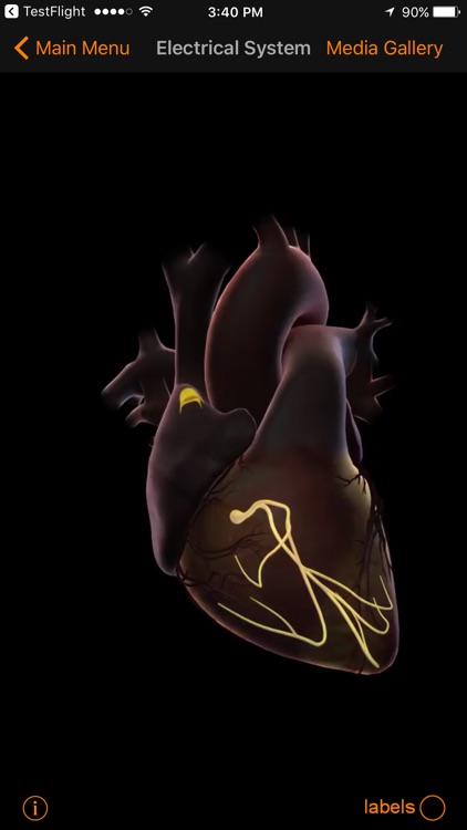 CardioSmart Heart Explorer screenshot-3