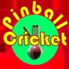 PinBall Cricket icon