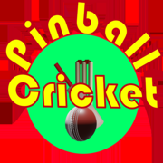 PinBall Cricket