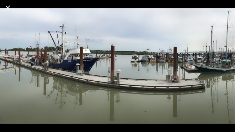 Photo Stitcher screenshot-4