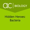 Hidden Heroes: Bacteria