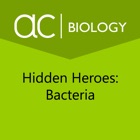 Hidden Heroes: Bacteria
