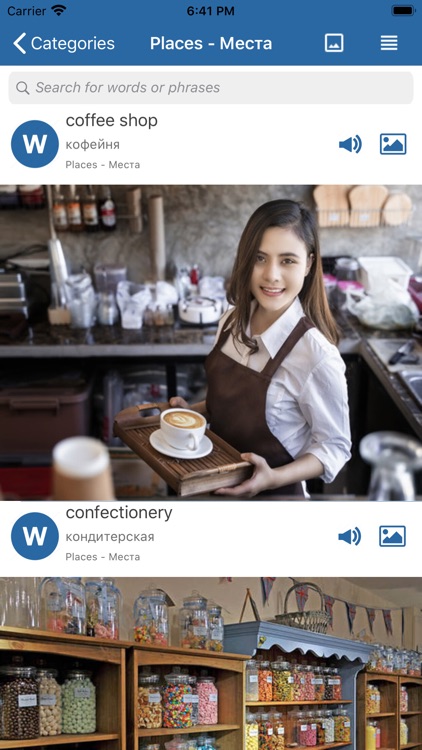 English Picture Dictionary New screenshot-6