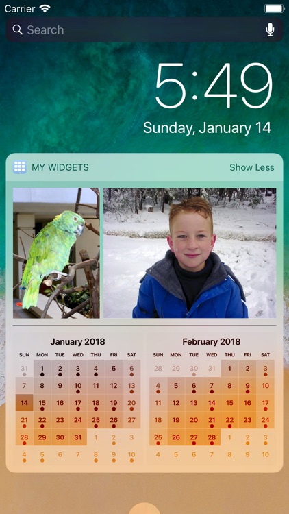 My Widgets screenshot-5