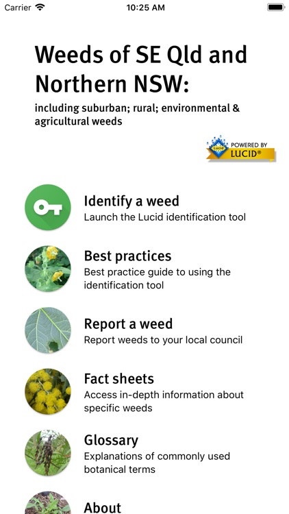 Weeds of South East QLD