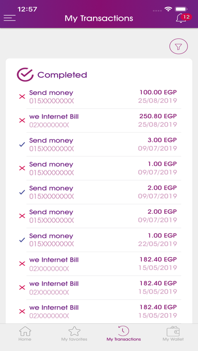 WE Pay EG Screenshot
