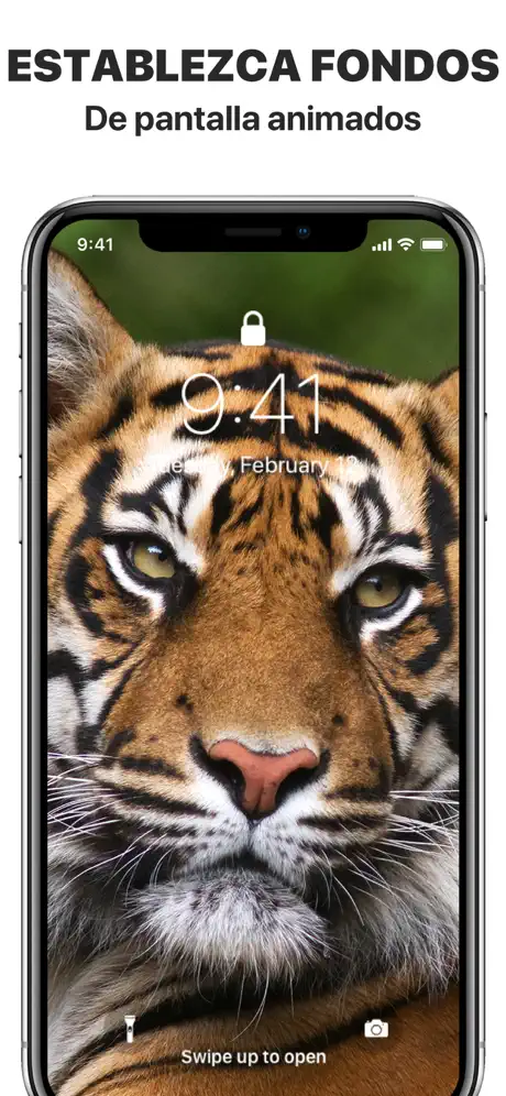 Iconos e fondos de pantalla