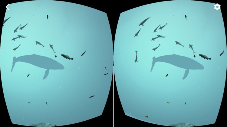 Novego RELAX Virtual Reality screenshot-3