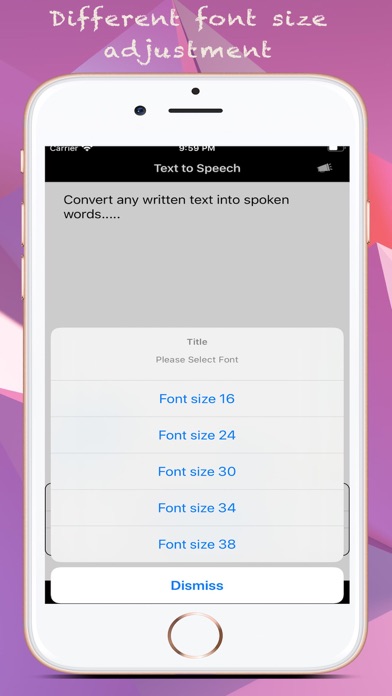 Text to Speech : Text to Voice Screenshot