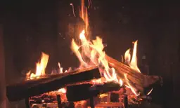 Real Fireplaces HD app icon