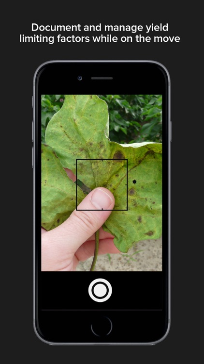 Crux Data Analytics screenshot-4
