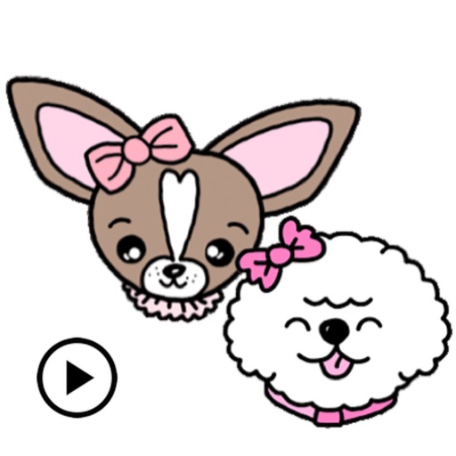 Bichon Chihuahua Cute Dogs icon