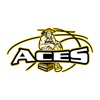 ACES Basketball icon
