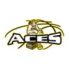 ACES Basketball App Negative Reviews