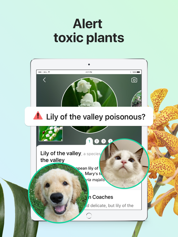 PictureThis - Plant Identifier screenshot