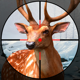 Hunting World- Sniper Shooting