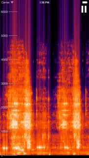 live spectrogram problems & solutions and troubleshooting guide - 4