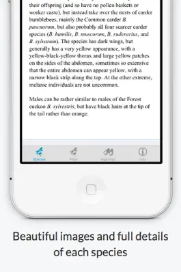 Game screenshot BeeID apk