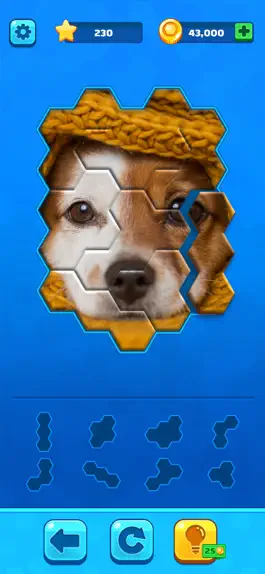 Game screenshot Hexa Jigsaw Puzzle ® mod apk