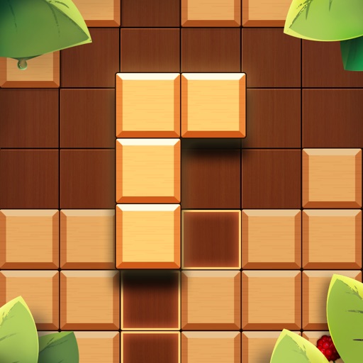 block wood puzzle classic