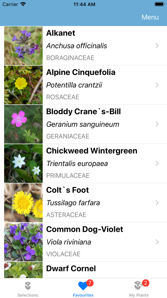 #7. Flower Field (iOS) By: Per Leif Dogger