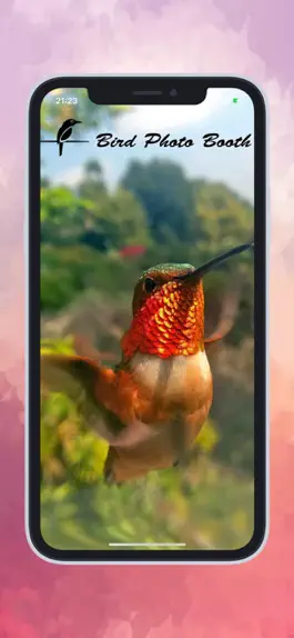 Game screenshot Bird Photo Booth mod apk