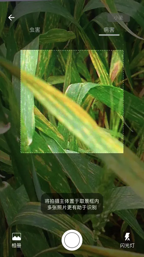 植保家