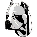 Download My American Pit Bull Terrier app