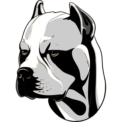 My American Pit Bull Terrier icon