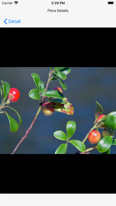 NCFlowers Screenshot