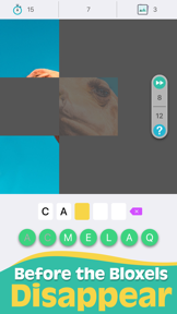 Bloxels - Guess The Pic screenshot