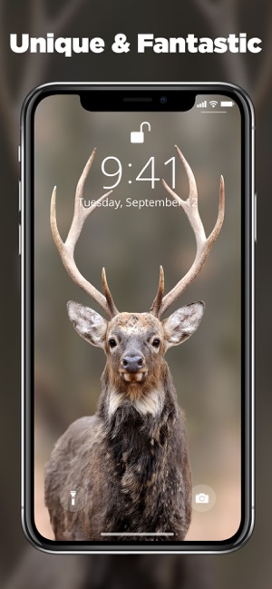 InPixels - wallpapers, photos(圖6)-速報App